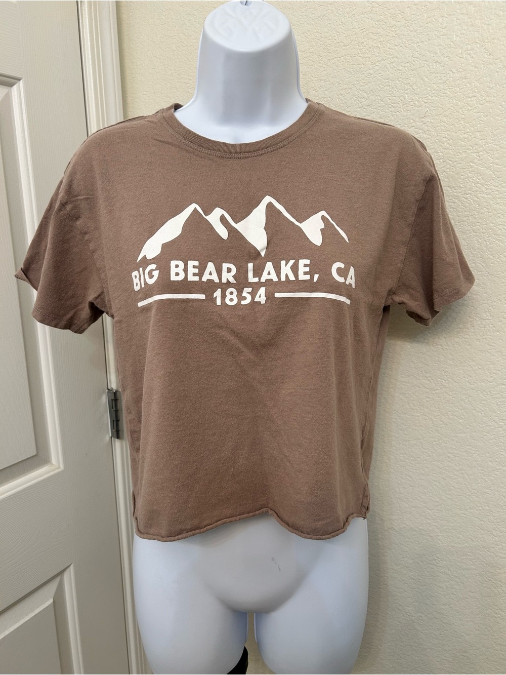 100% Cotton Big Bear Lake CA Graphic Crop Tee - Brown with White Print S
